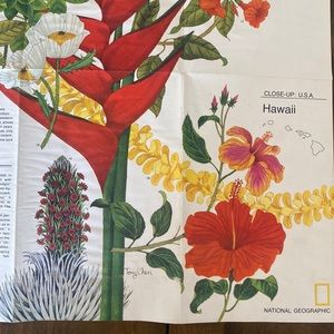 Vintage 1976 close up National Geographic map of Hawaii
